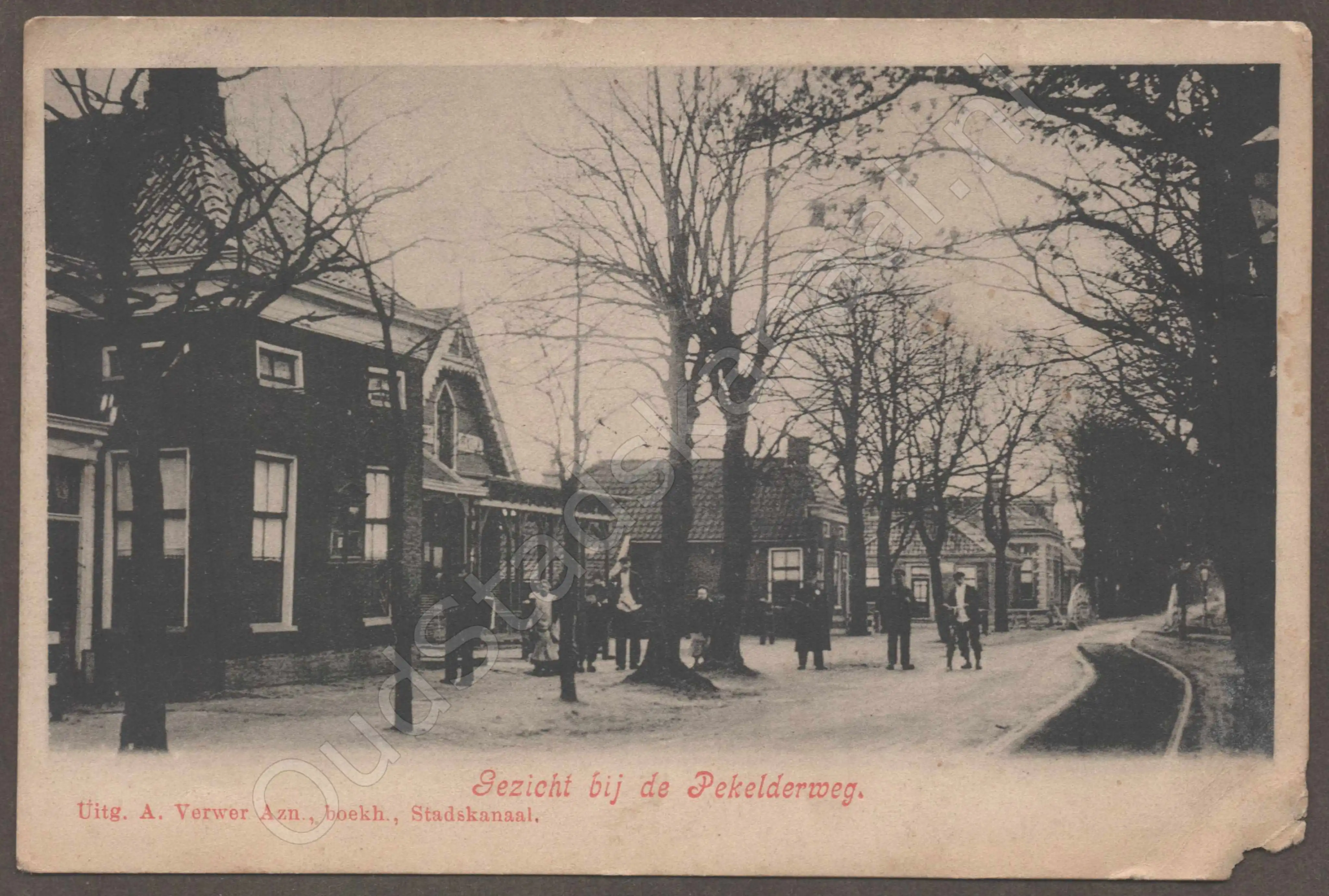 <span id='curid'>7356</span>~Gezicht bij de Pekelderweg. (&plusmn;1909)