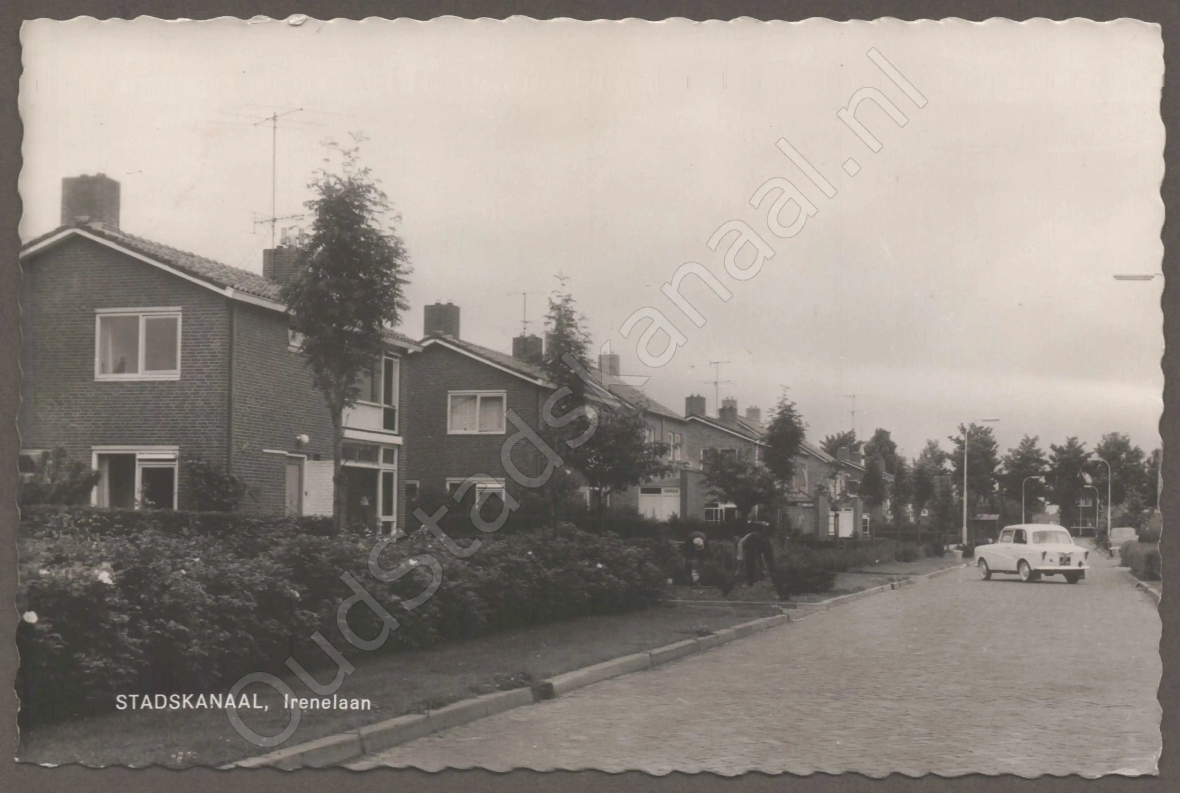 <span id='curid'>8451</span>~STADSKANAAL, Irenelaan (&plusmn;1961)